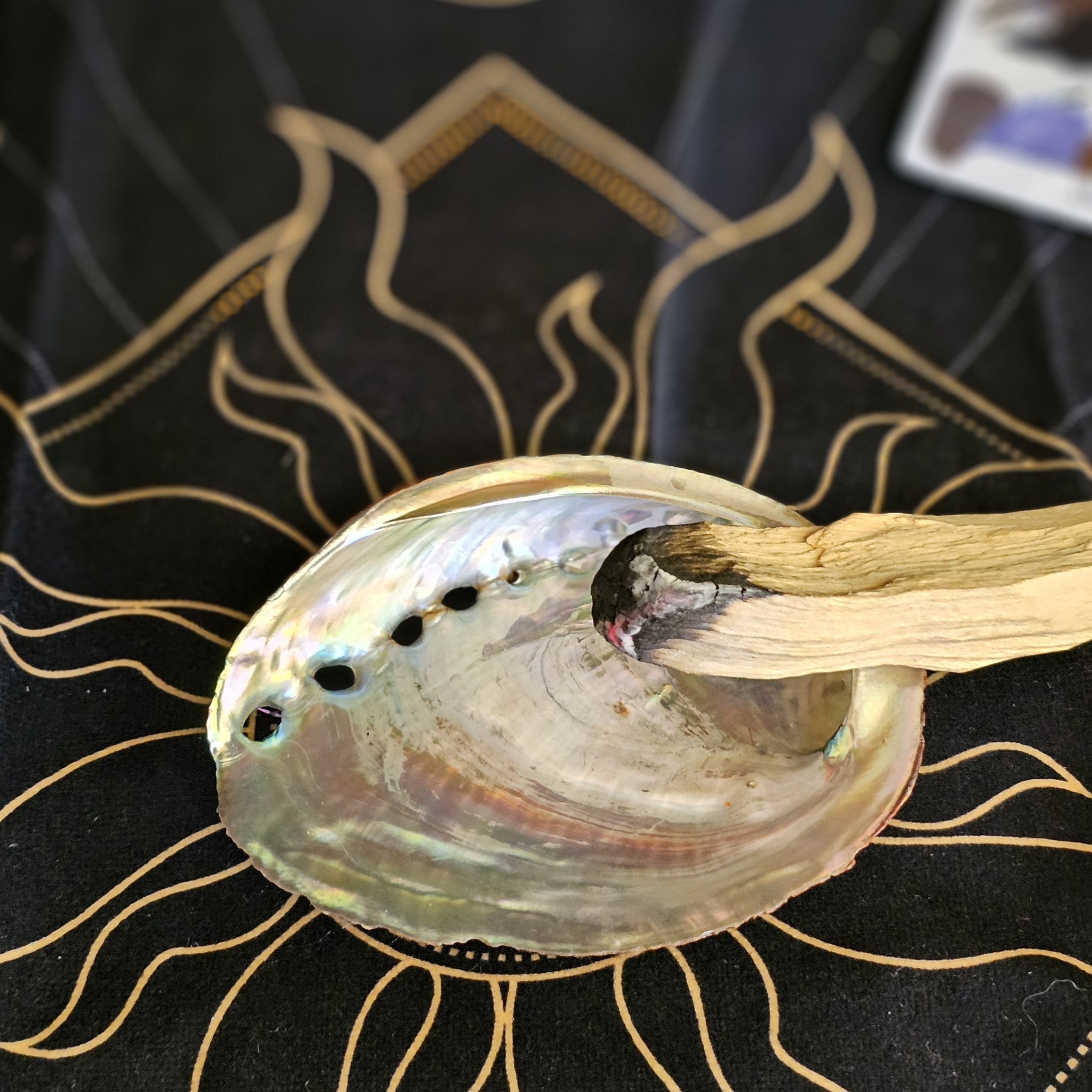 Abalone Shell - Image 2