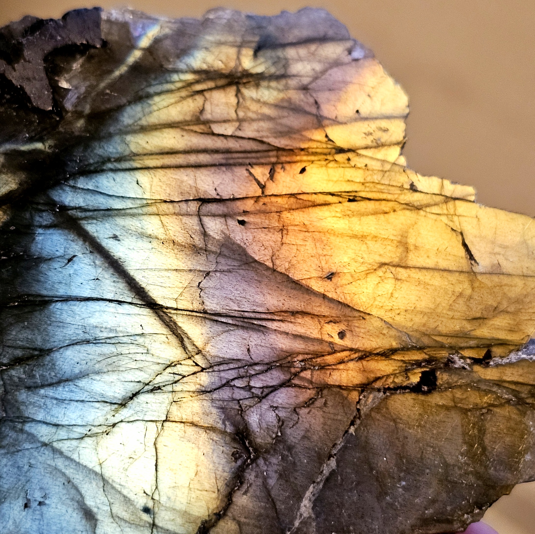 Labradorite Sunset Rainbow Flash Freeform ~3.15in - Image 5