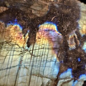 Labradorite Sunset Rainbow Flash Freeform ~6.5in