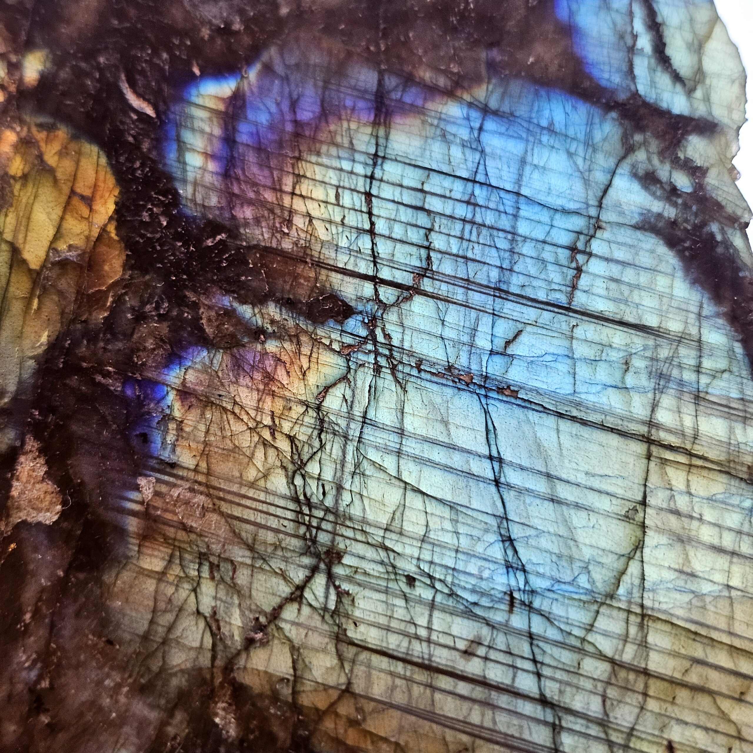 Labradorite Sunset Rainbow Flash Freeform ~6.5in - Image 4