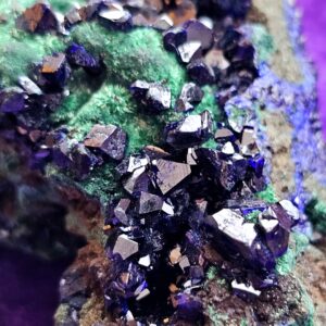 Collectible Specimens