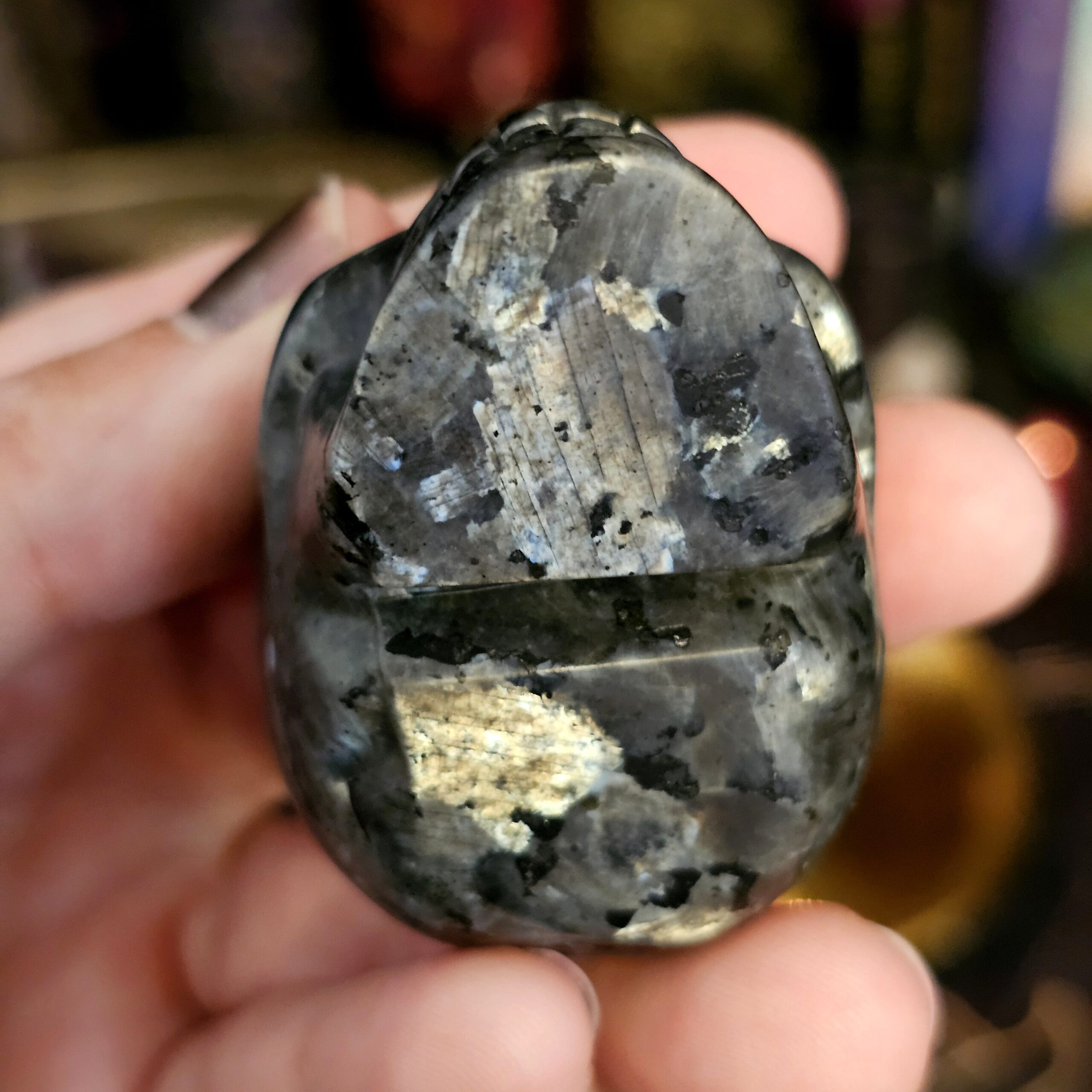 Skull Carving - Larvikite "Black Moonstone" - Image 4
