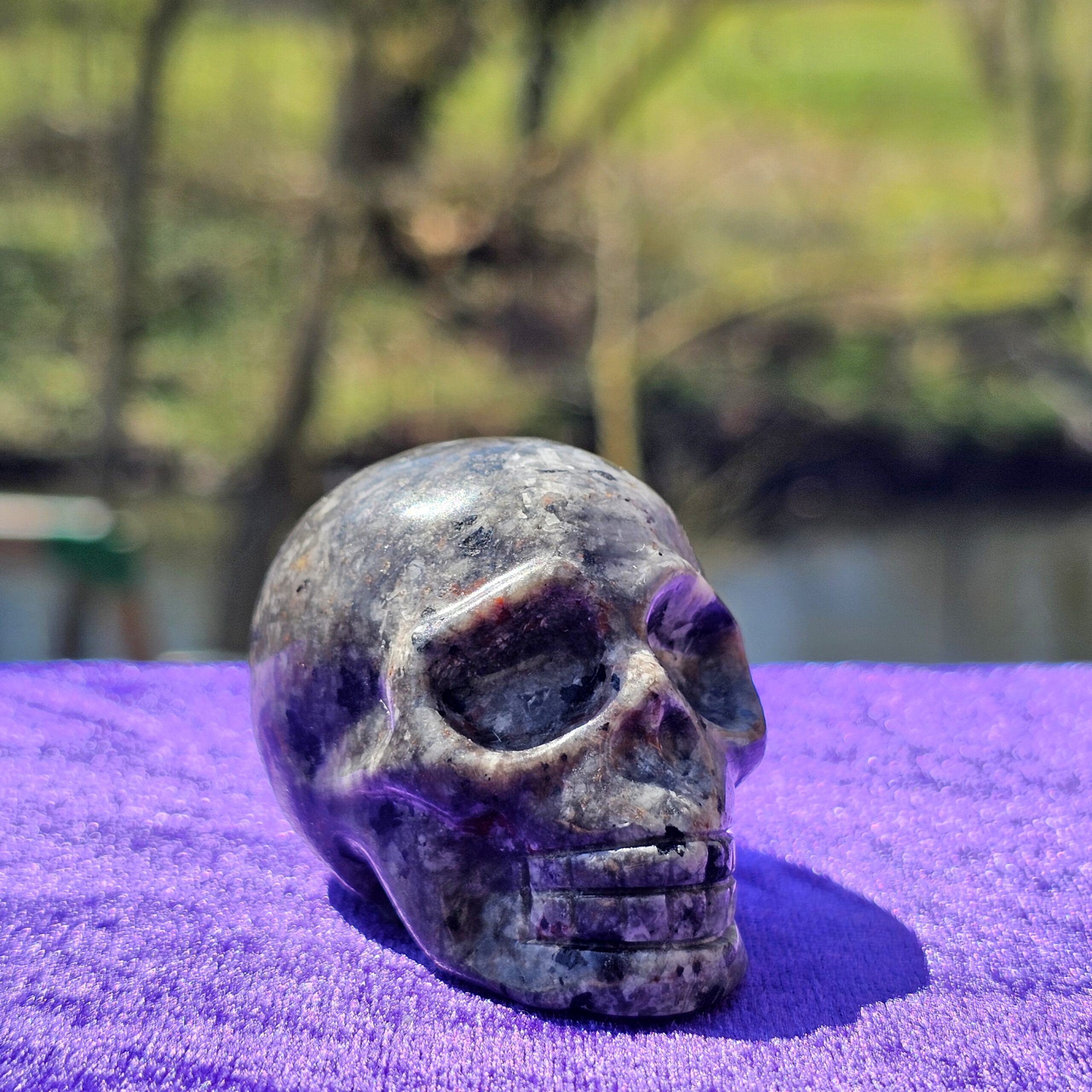 Skull Carving - Yooperlite - Image 3