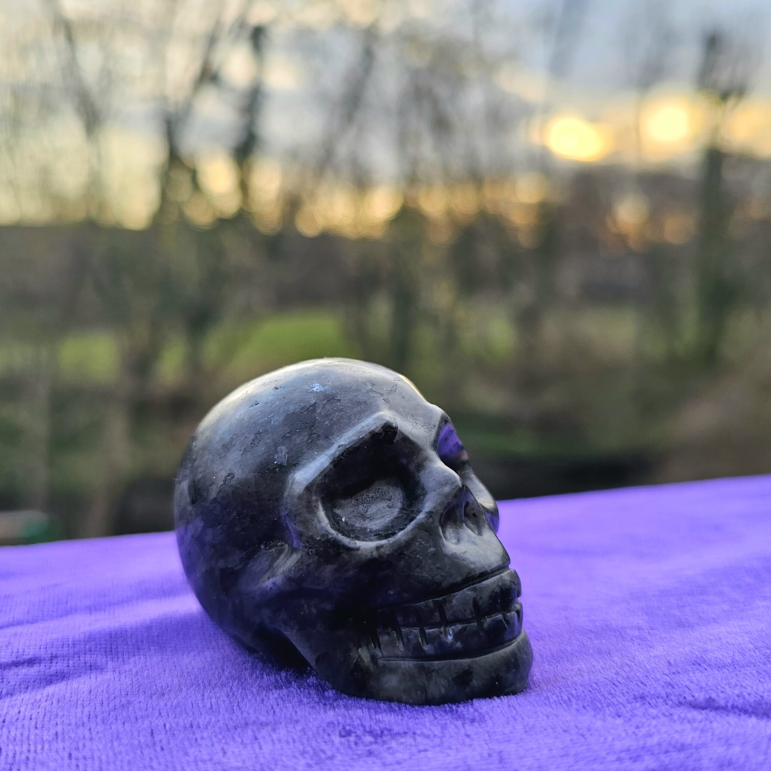Skull Carving - Larvikite "Black Moonstone" - Image 2