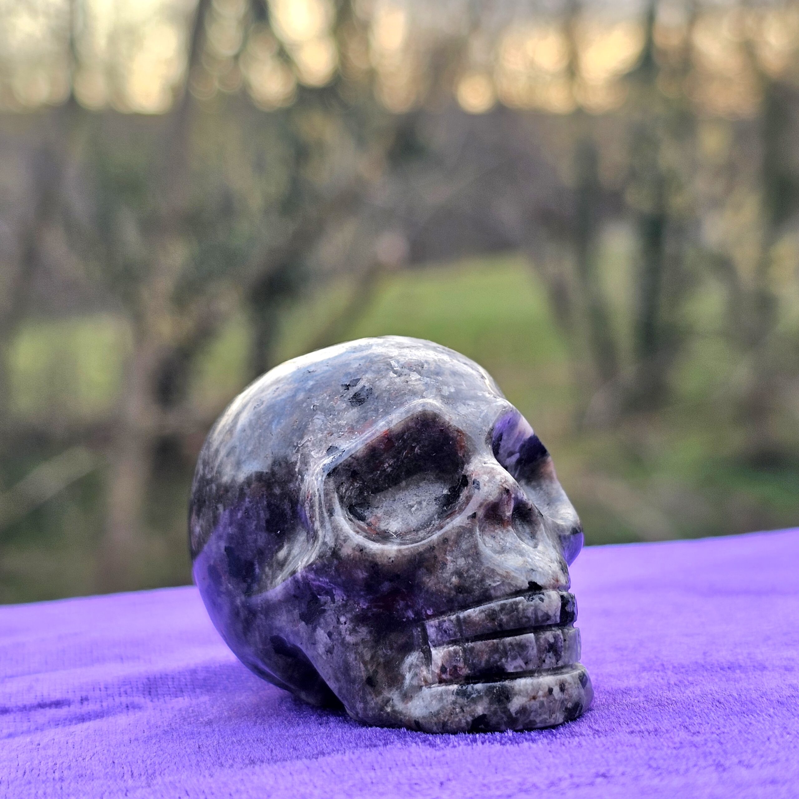Skull Carving - Yooperlite - Image 2