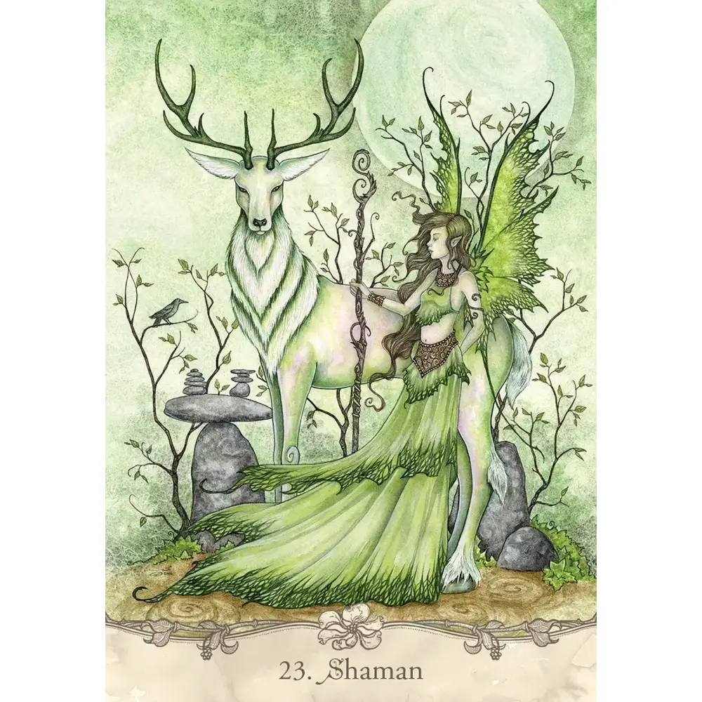 Fairy Wisdom Oracle Deck and Book Set by Amy Brown - Image 3