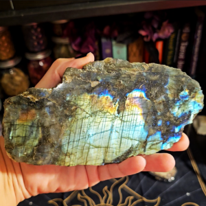 Labradorite Sunset Rainbow Flash Freeform ~6.5in