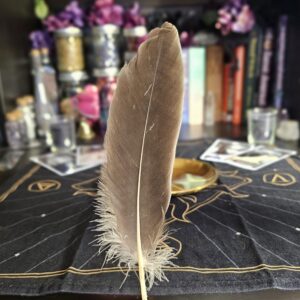 Goose Feather