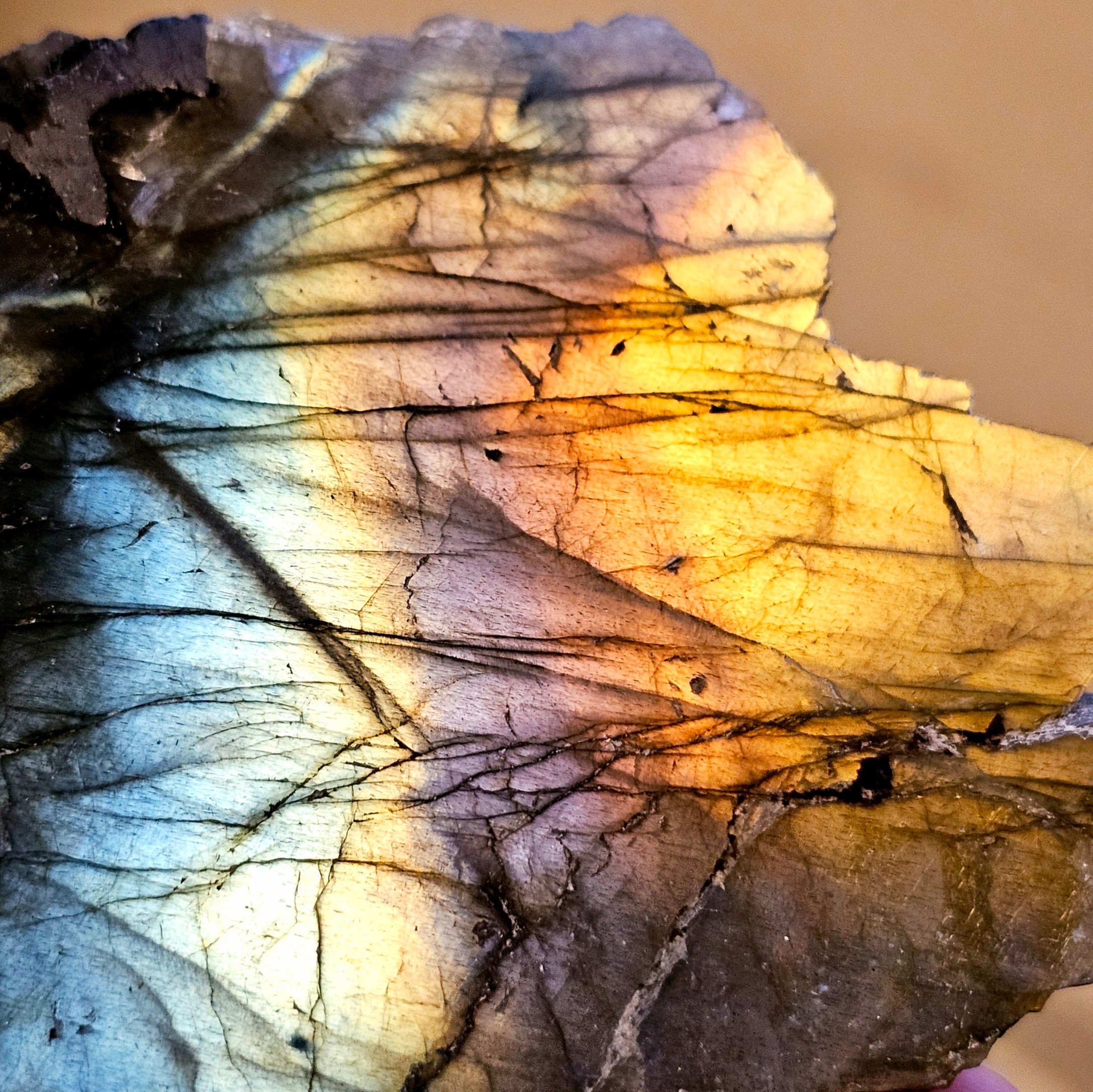 Labradorite Sunset Rainbow Flash Freeform ~3.15in - Image 7