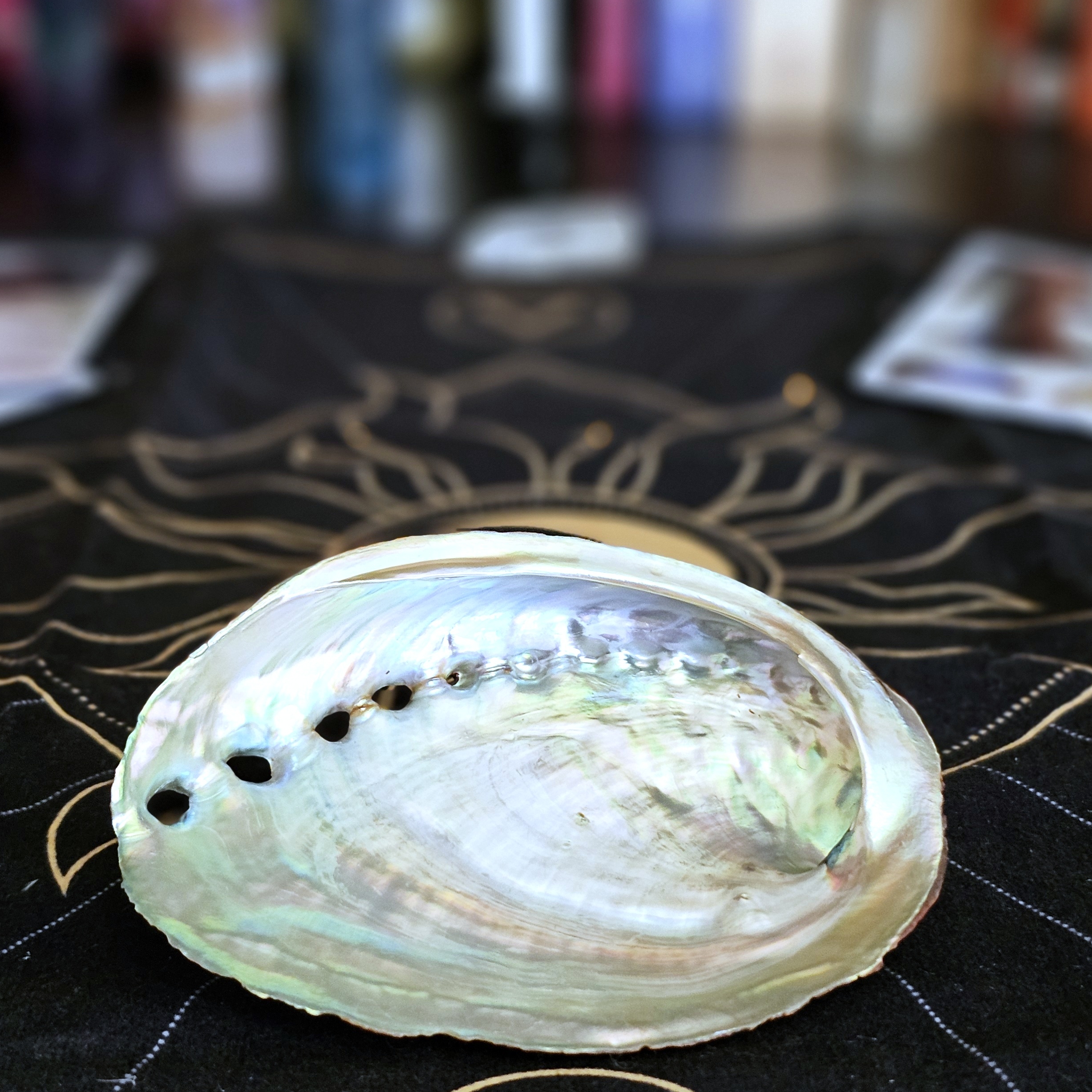 Abalone Shell