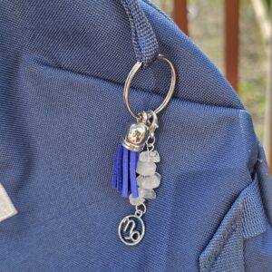 Zodiac Crystal Charms