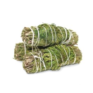 Rosemary With Jericho Flower - 4"
