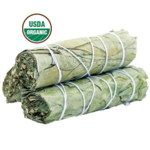Eucalyptus Bundle - 4"