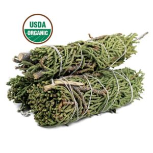 Juniper - 4 "