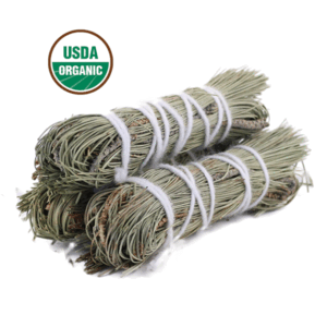 Pine Bundle - 4"